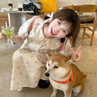 程序员那么可爱
